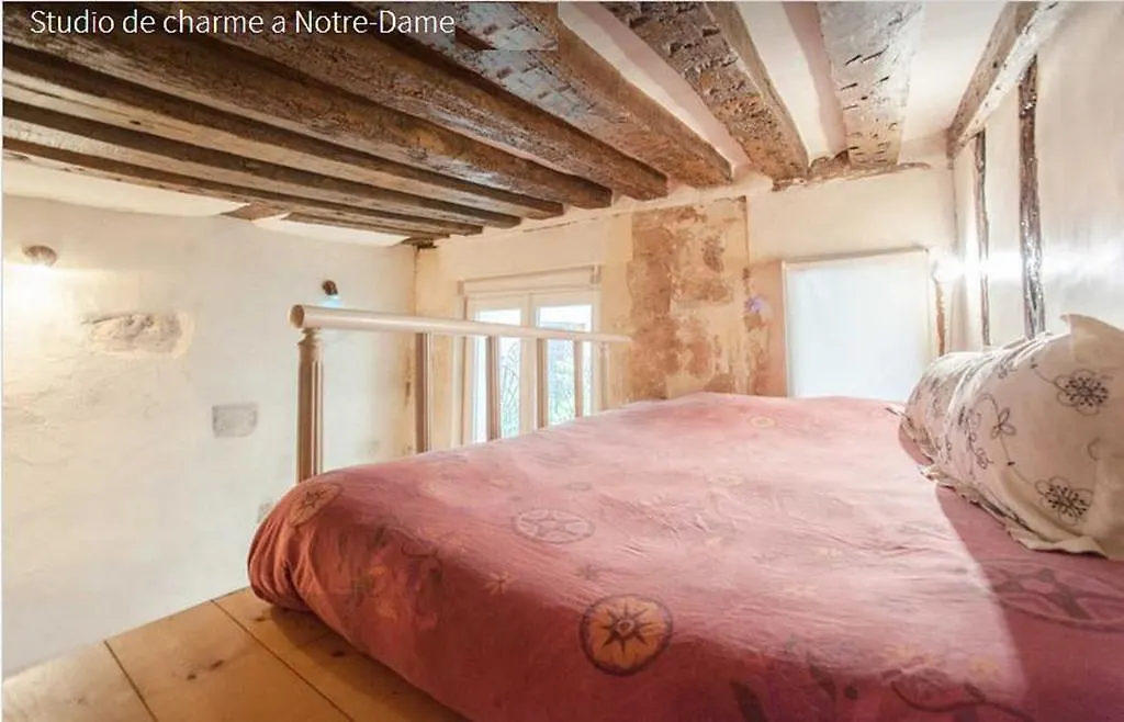Appartement Frederic Sauton Studio Notre-dame *